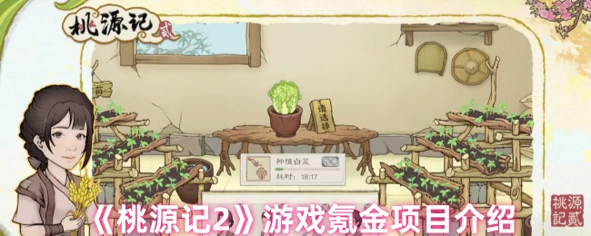 桃源记2游戏氪金项目介绍