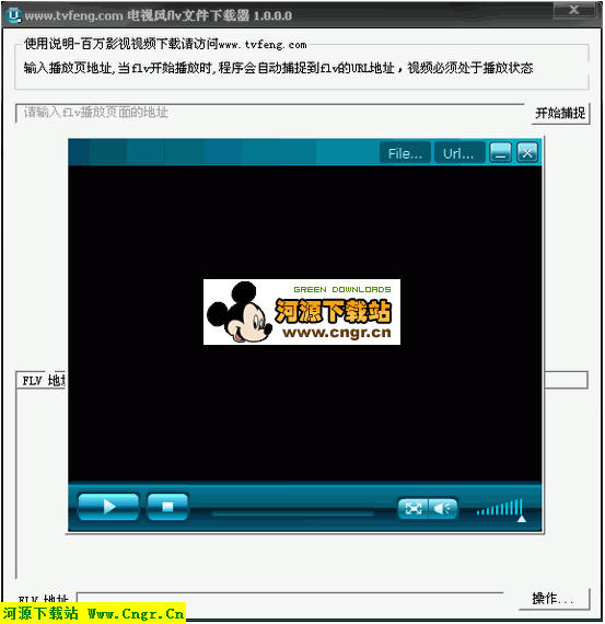 电视风Flv文件下载器/播放器 V1.0.0.0_简体中文绿色版 捕捉Flv视频下载地址