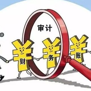 学通审计实务要点从入门到精通课 [v1.33]